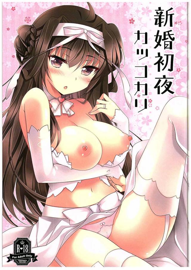 秘密組織フェブラリー 唄浜支部の記録 [マシーナリー]